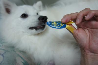 しつこいと怒るでしゅよ