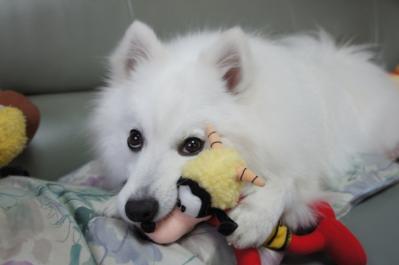 助けてくれぇ~
