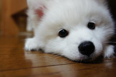何か?
