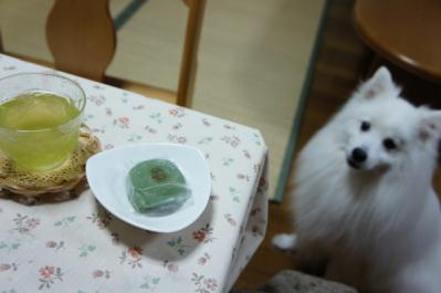これを食べる前はシフォンケーキを食べてたですよ