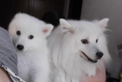 パパのお顔がでかいでちゅ