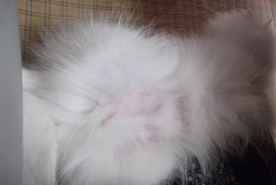 暑いなら離れてくれぇ