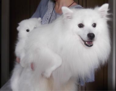 合わせて何キロ?