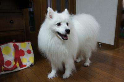 夏でもゴージャス