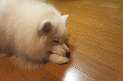 鏡を見せてあげて~