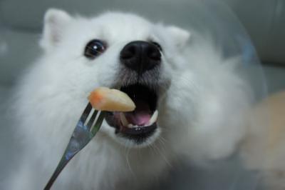 あ~~~んっ!