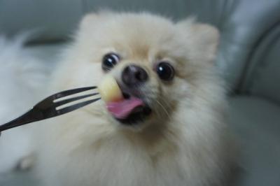 うまっ