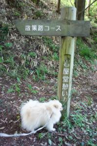 岩屋堂