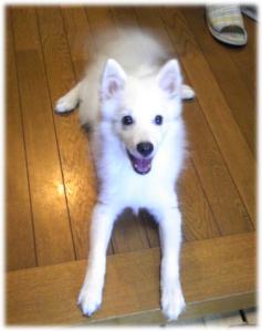 満面の笑顔