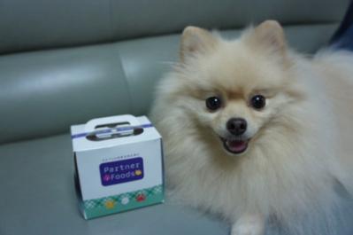 6歳でち