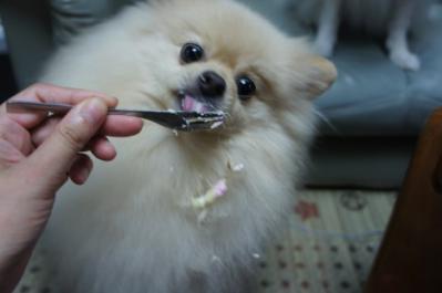 うまっ