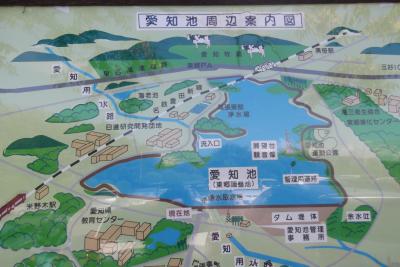 愛知池