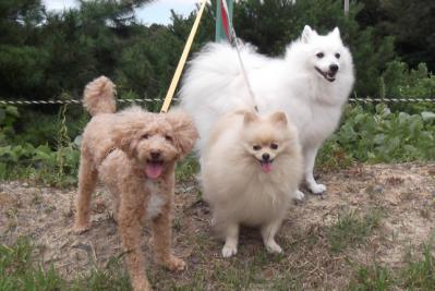 3兄弟