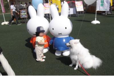 撮影しましゅよ