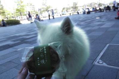 ラッキー♪