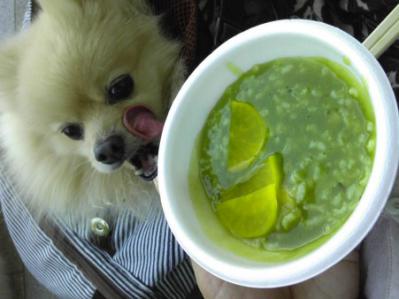 抹茶粥