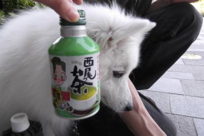さっぱりしたお味