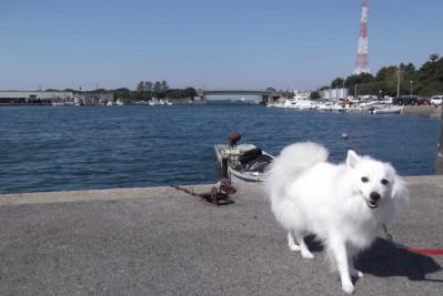 初めての海は狭いでしゅ