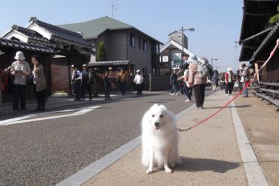 宿場町でしゅよ