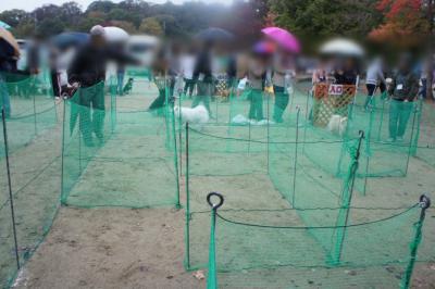 やる気のなさで一等賞でち