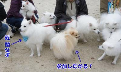 対極な二匹