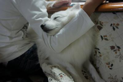 根性!