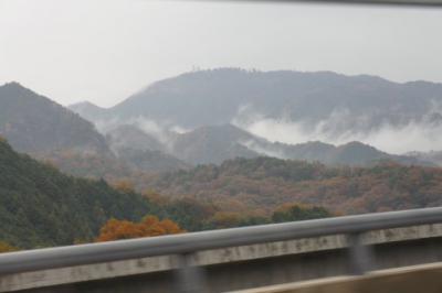 雨だがね・・・