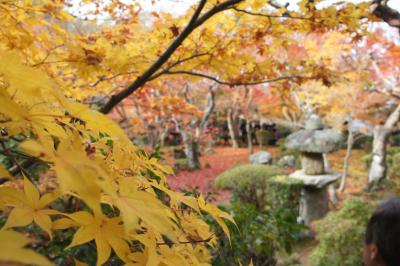圓光寺5