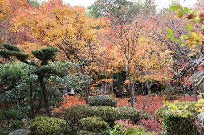圓光寺6