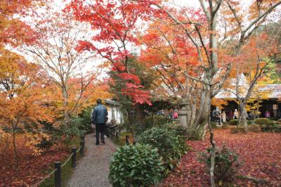 圓光寺4