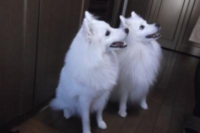 そらちのが小さく見える