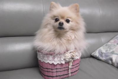 フィット感バッチリでち