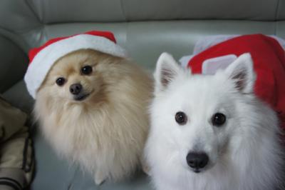 メリークリスマス☆