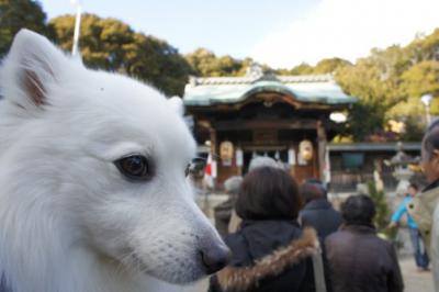 抱っこ酔いしそうでしゅ
