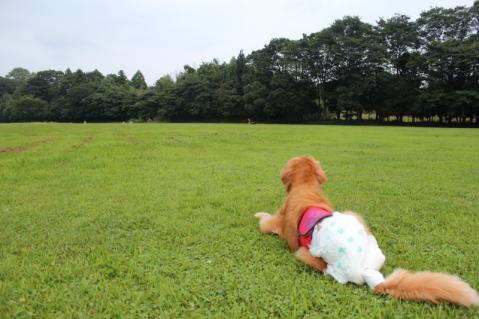 ずーっと向こう歩いてます(^^)
