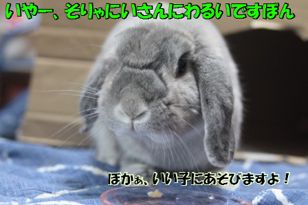 2012/12/3/9