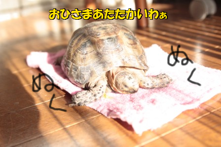 2012/12/10/1