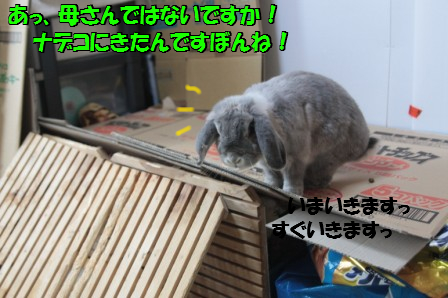 2012/12/20/3