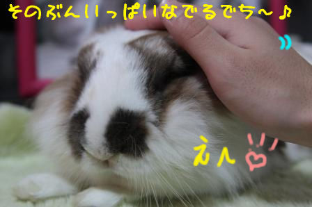 2013/1/7/1