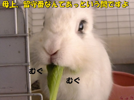 2012/8/14/6