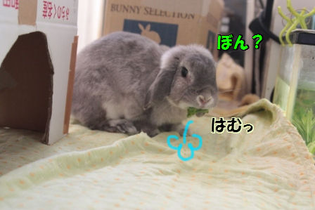 2012/8/23/5