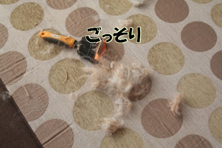 2012/8/5/3