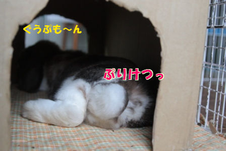 2012/6/26/6