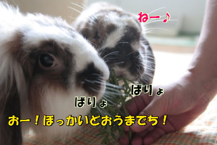 2012/6/14/5