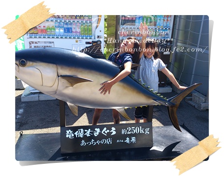 今年の夏休みまとめました