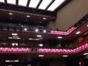 IMG_3797kabuki.jpg