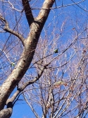 IMG_3825reien.jpg