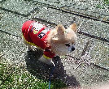200702251237000.jpg