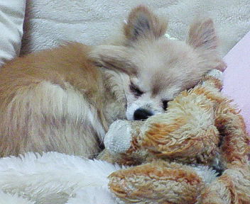 200703112044000.jpg