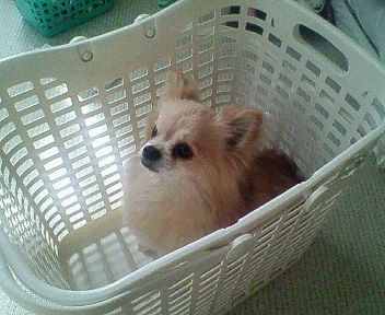 200704011004000.jpg
